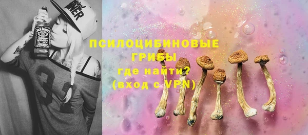 PSILOCYBIN Беломорск