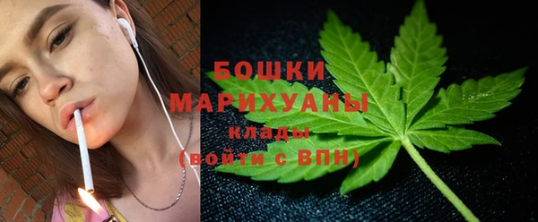 PSILOCYBIN Беломорск