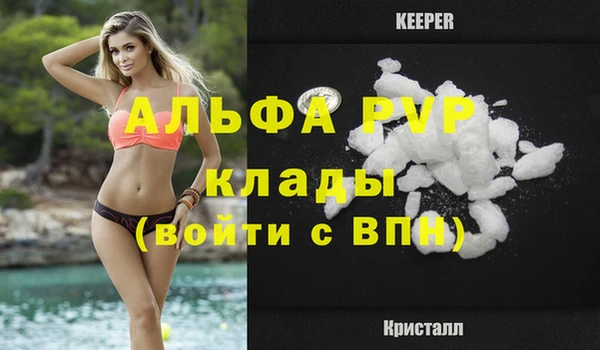 PSILOCYBIN Беломорск